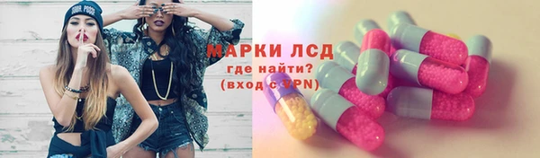 apvp Алзамай