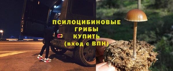 spice Осинники