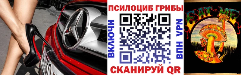 как найти наркотики площадка клад Псилоцибиновые грибы Magic Shrooms Чебаркуль блэк спрут зеркало